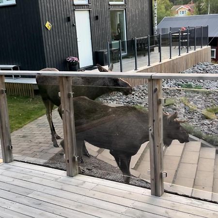 Cabin In The Woods, Close To Lake Maelaren Eskilstuna Luaran gambar
