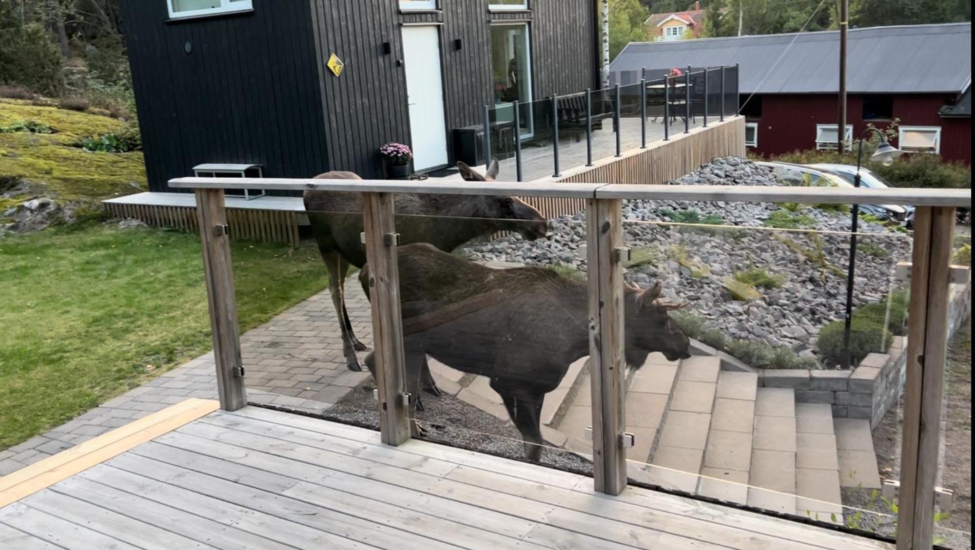Cabin In The Woods, Close To Lake Maelaren Eskilstuna Luaran gambar